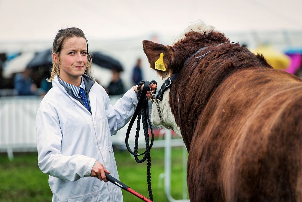 Scene from Westmorland County Show. Original public domain image from Flickr