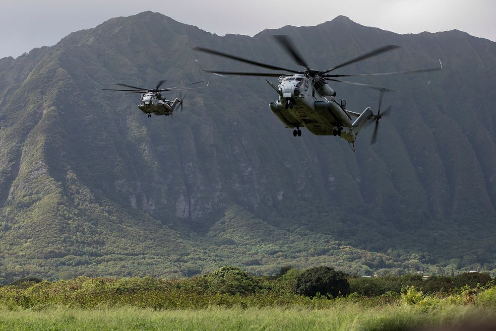 U.S. Marine Corps CH-53E Super Stallions assigned to Marine Heavy Helicopter Squadron (HMH) 463 prepare to land and drop off…