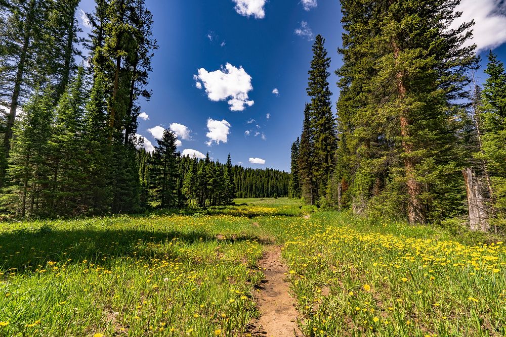 Located in Western Wyoming, the Bridger-Teton offers more than 3.4 million acres of public land for your outdoor recreation…