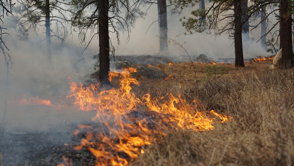 Thomas Mountain wildfire in the San Jacinto Mountains. Original public domain image from Flickr