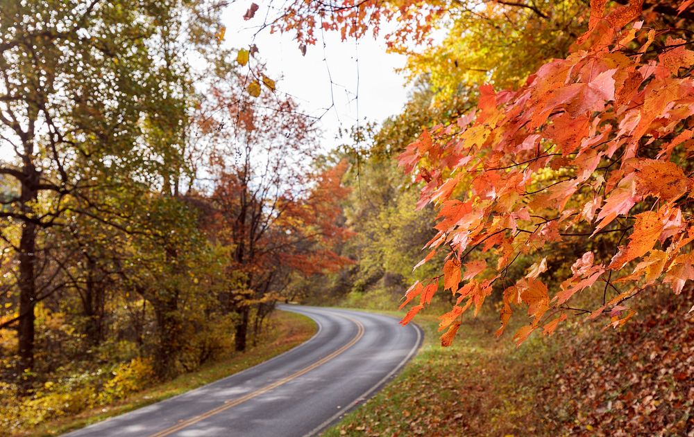 Beautiful Autumn aesthetic background, skyline drive. Free public domain CC0 photo.