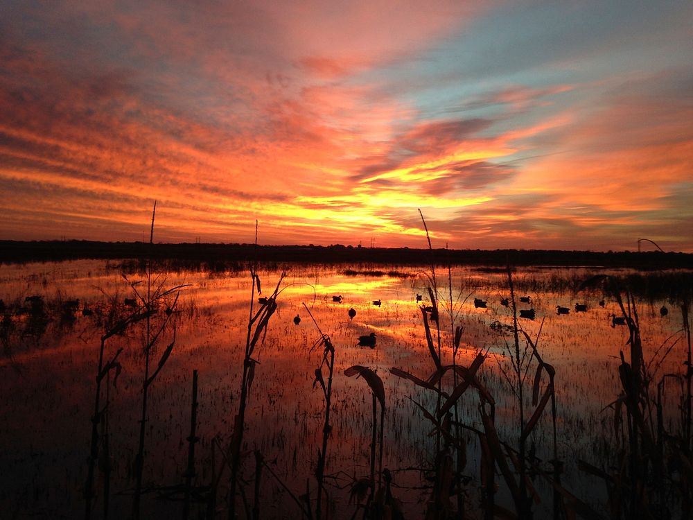 Marsh sunrise in MissiouriThere's never one the same sunrise, so make sure you get outdoors to see one.Photo by Doug…
