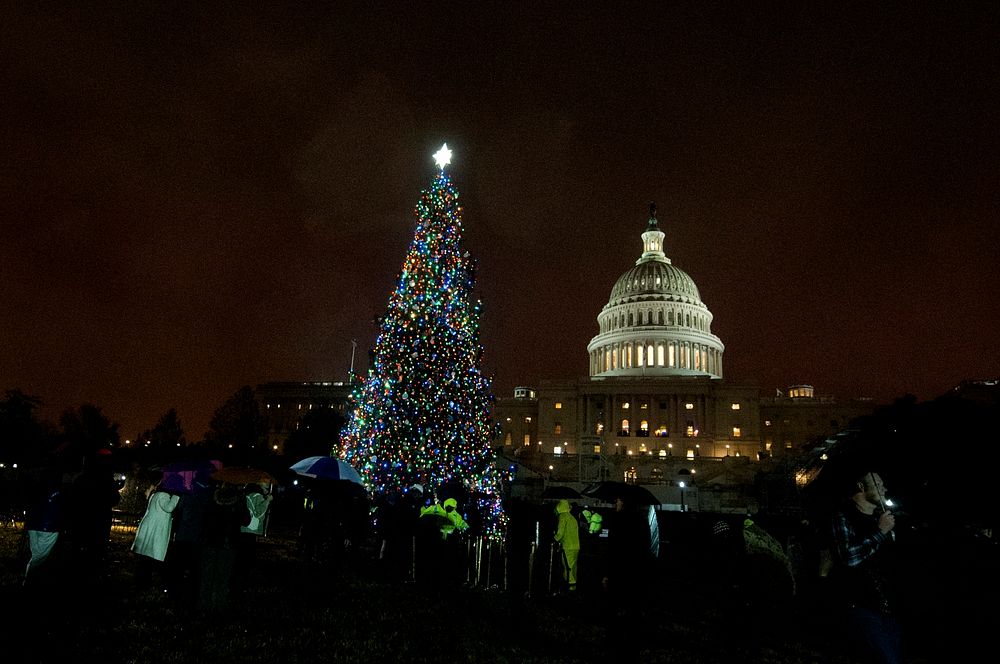 Visitors admire the Capitol Tree after the official lighting ceremony of the U.S. Capitol Christmas Tree in Washington D.C.…