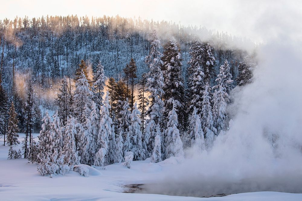 Steam and Rime Ice Near Bijah Spring by Jacob W. Frank. Original public domain image from Flickr