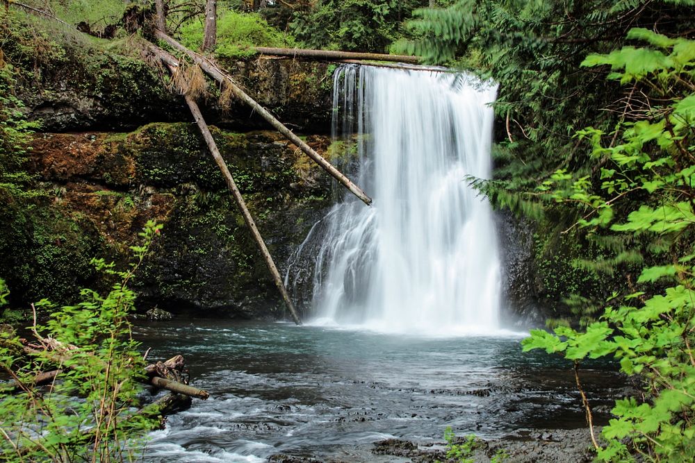 Upper North Falls, Waterfalls, Oregon.