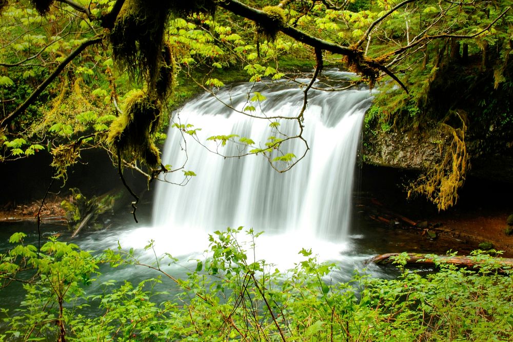 Butte Creek Waterfall, Oregon.