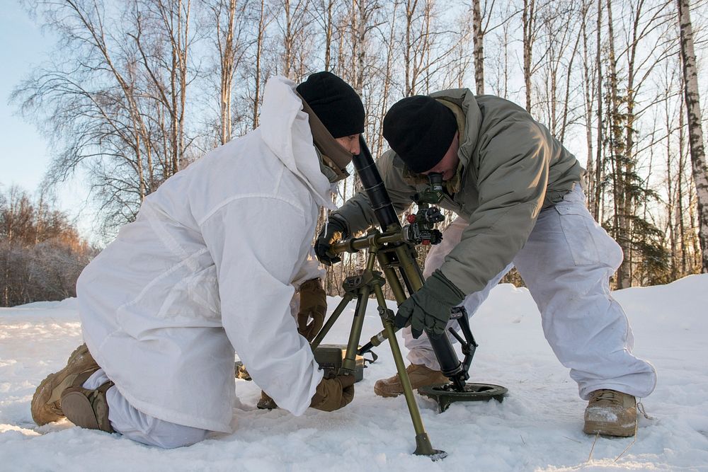 Army Pvt. Carl Roberts, left, | Free Photo - rawpixel