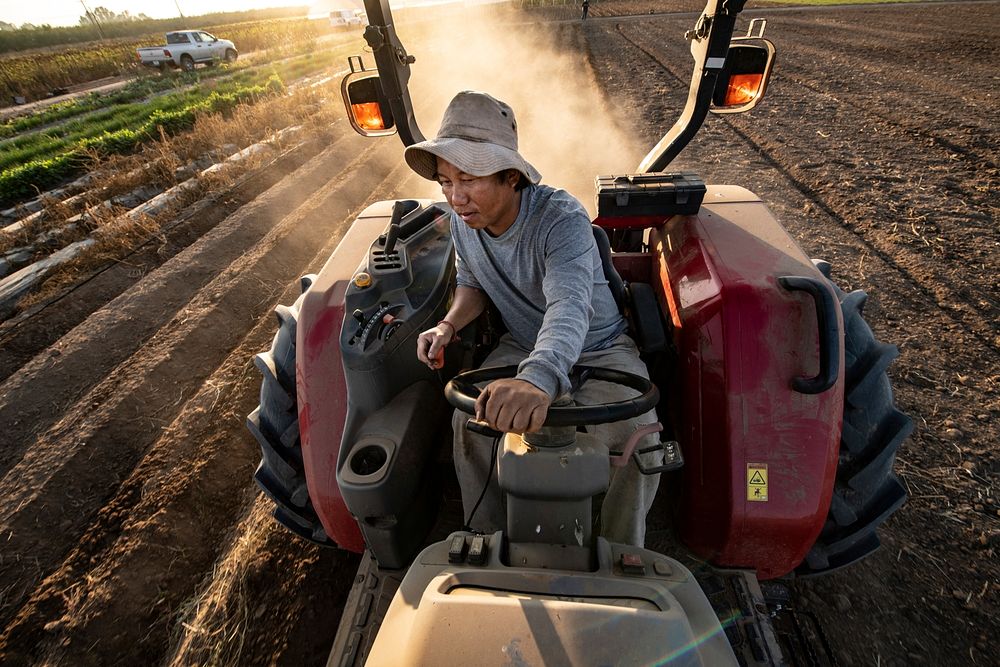 VH Produce owner Vue Her is a Hmong farmer on a 10-acre field, who grows several Asian specialty crops in Singer, CA, near…