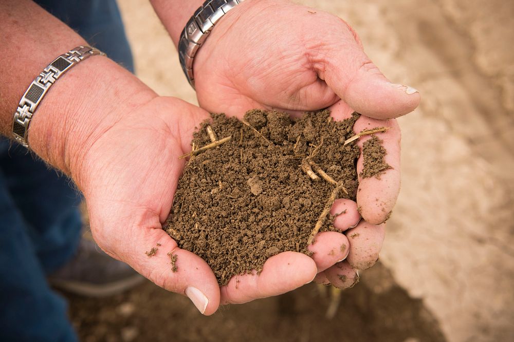 Bill Kimm holds a handful of soil from his farm near Manhattan, Mont. He said healthy soil has a rich, earthy smell.…