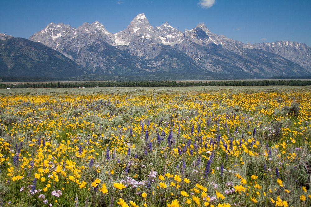 Grand Teton National Park