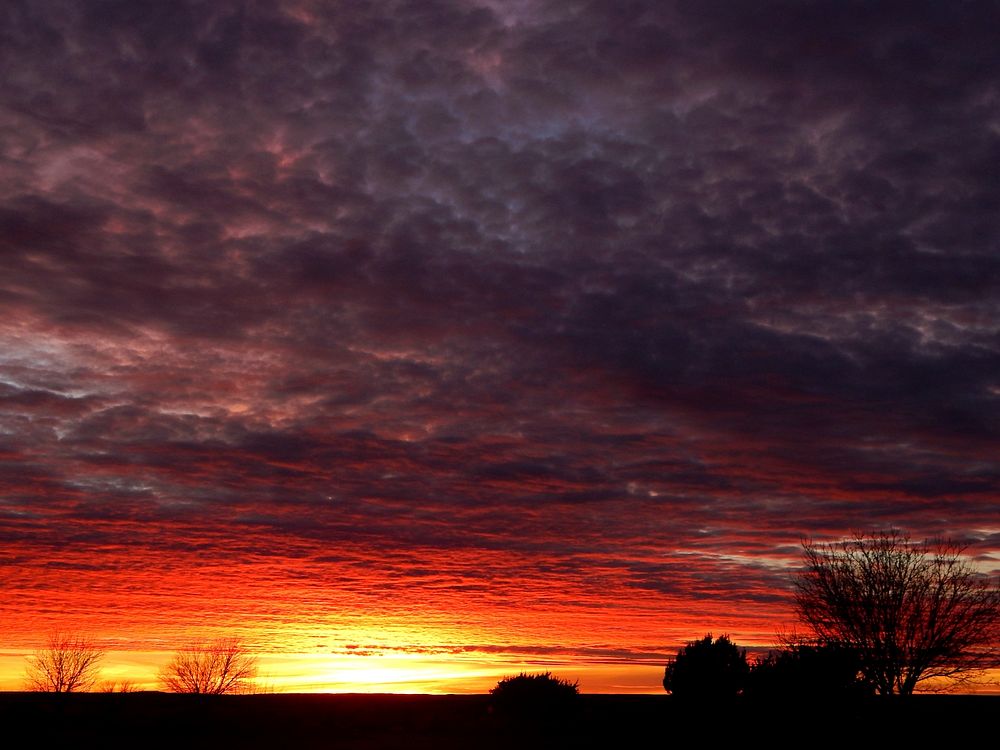 Petrified SunsetCredit NPS. Original public domain image from Flickr