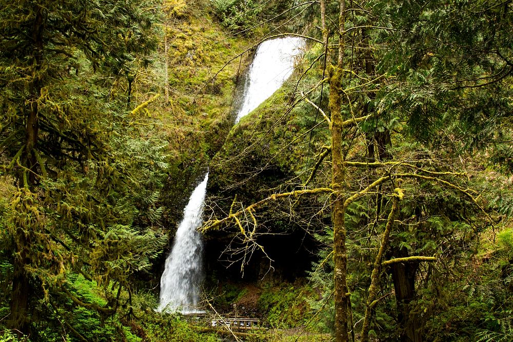 Upper Latourell Falls, Oregon.