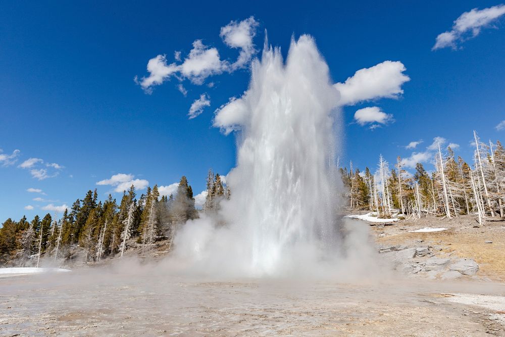 Grand Geyser eruption opening day. Original public domain image from Flickr