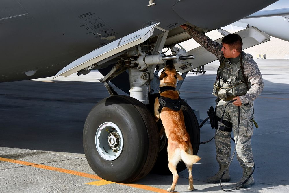 U.S. Air Force Senior Airman Kaleb Sermeno, a military working dog handler with the 379th Expeditionary Security Forces…