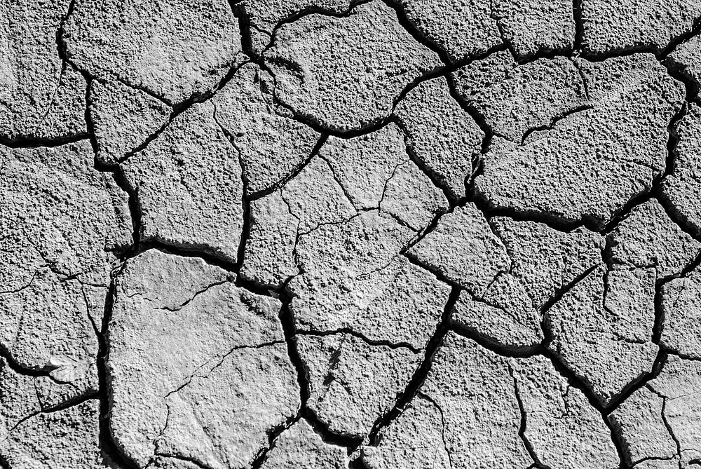 Cracked dried soil texture background. Free public domain CC0 photo.
