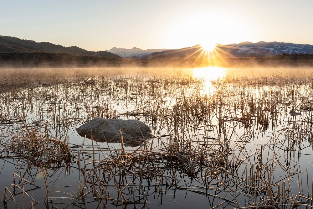 Sunrise at ephemeral ponds near Junction Butte. Original public domain image from Flickr