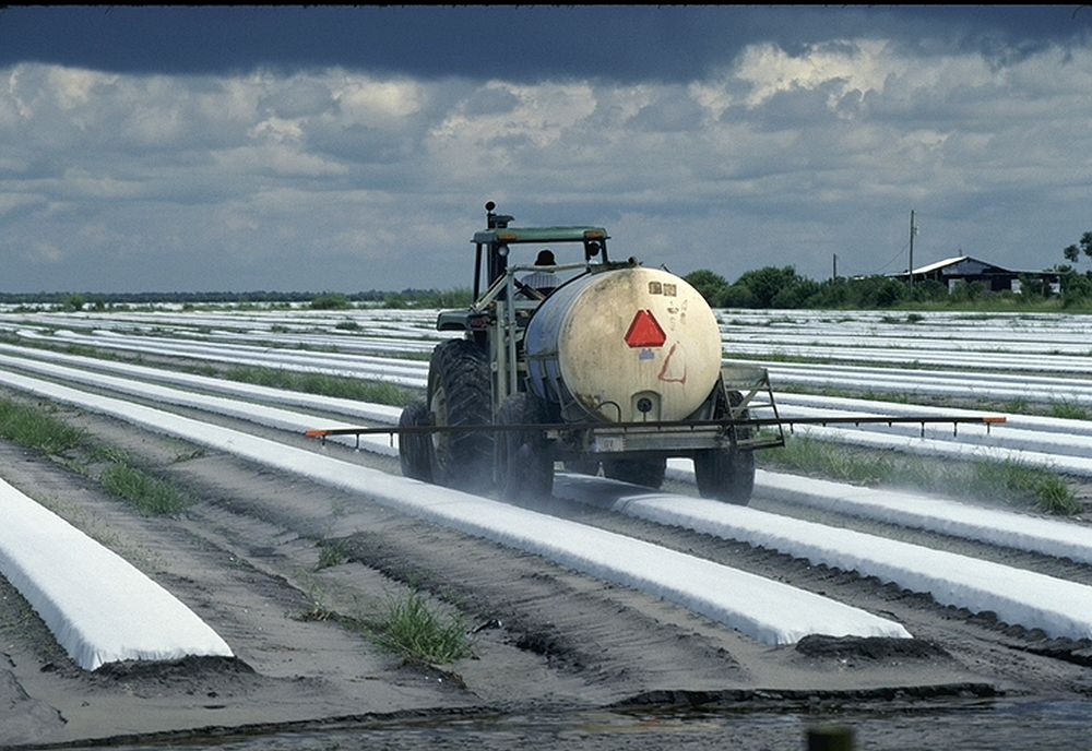 spraying crops. Original public domain image from Flickr