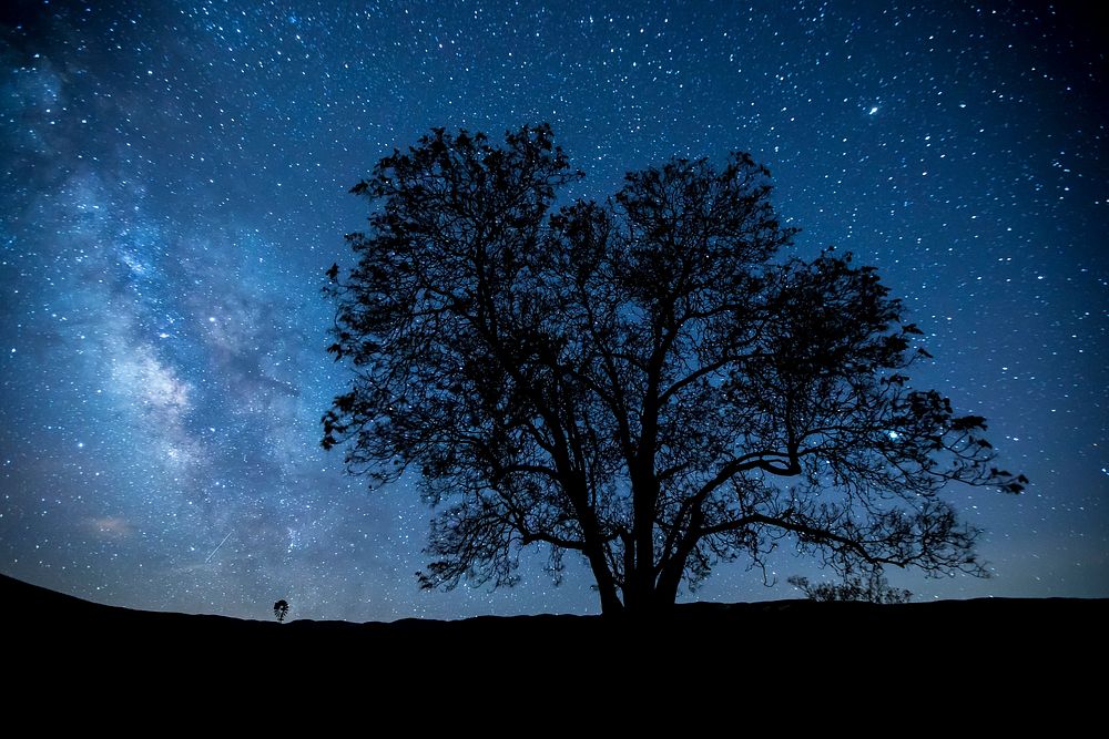 Carrizo Plain National Monument is one of the best kept secrets in California. Original public domain image from Flickr