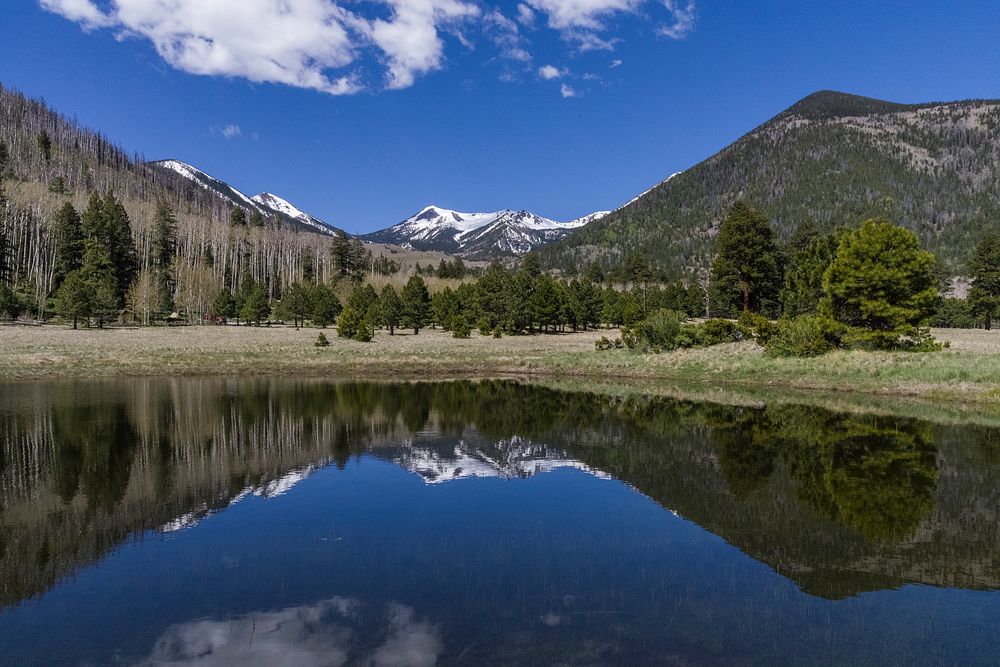 Lockett Meadow