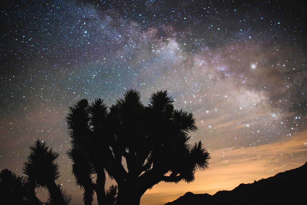 Milky way at the Pacific Crest Trail on the Owens Peak section near Ridgecrest, California. Original public domain image…