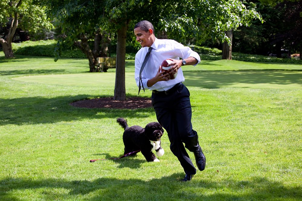 President Barack Obama, runs away from the family dog, Bo, during a brief break from meetings on the South Lawn of the White…
