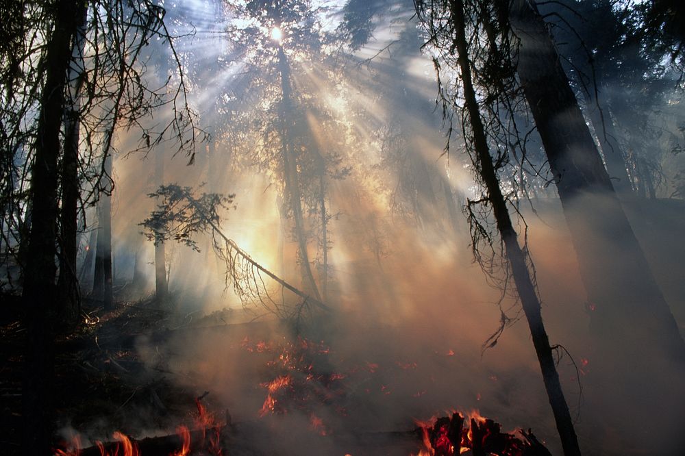 Ochoco National Forest Fire use. Original public domain image from Flickr