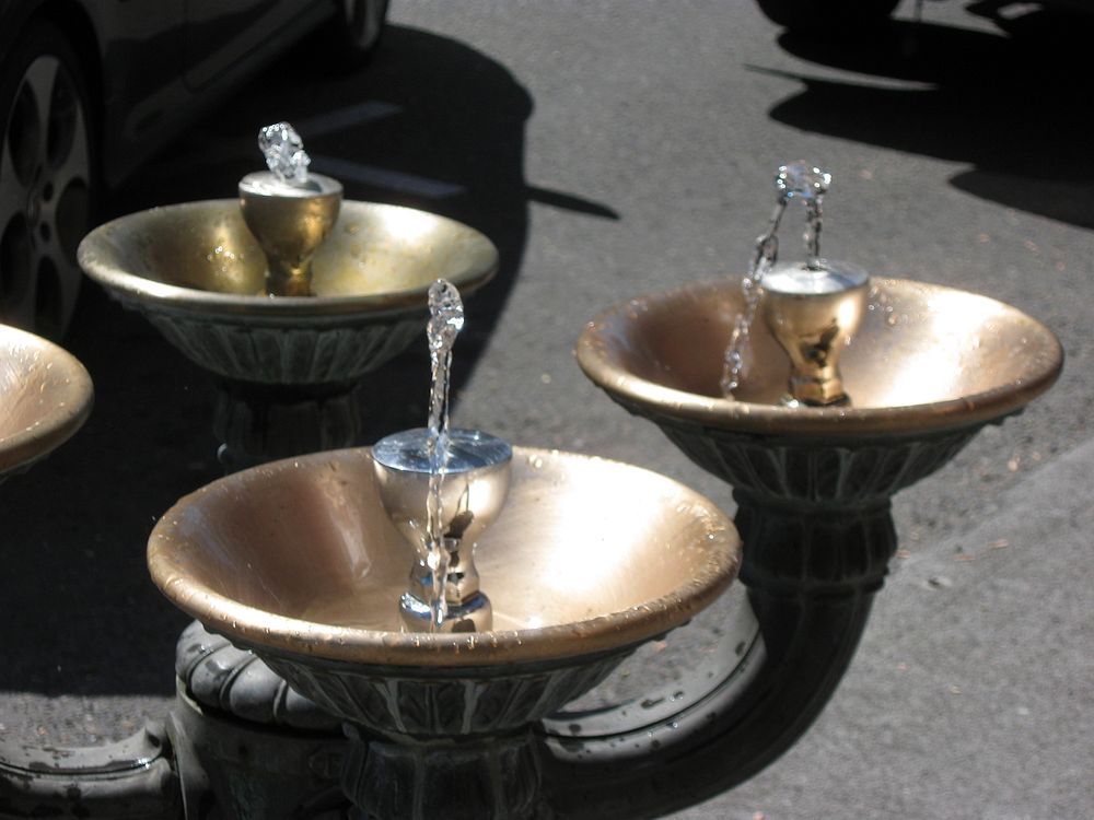 Drinking fountains in Portland.