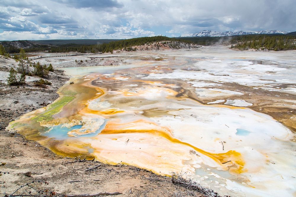 A rainbow of colors at the Norris Geyser Basin by Neal Herbert. Original public domain image from Flickr