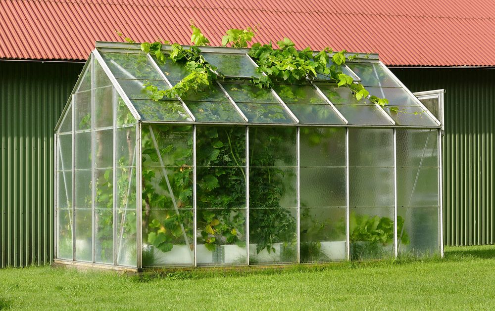 Small greenhouse. Free public domain CC0 photo.