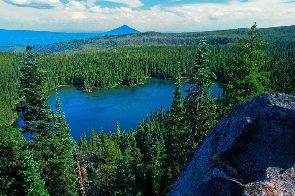 Deschutes National Forest Wasco Lake. Original public domain image from Flickr