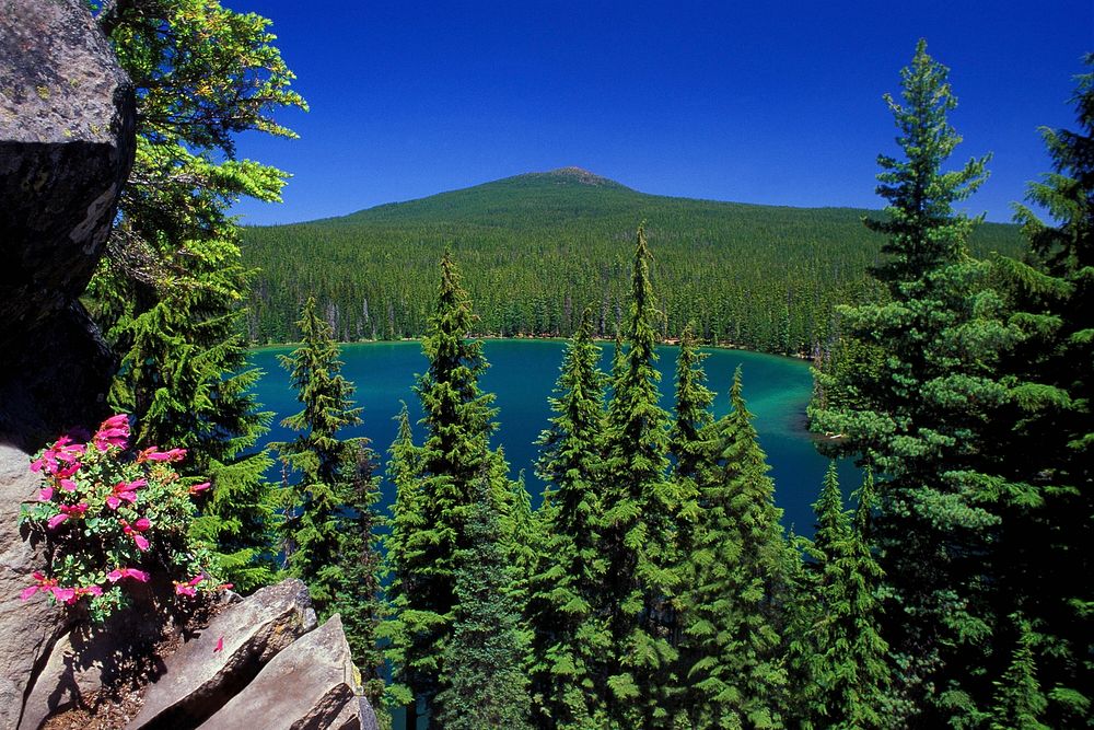 Deschutes National Forest Lower Rosary Lake. Original public domain image from Flickr