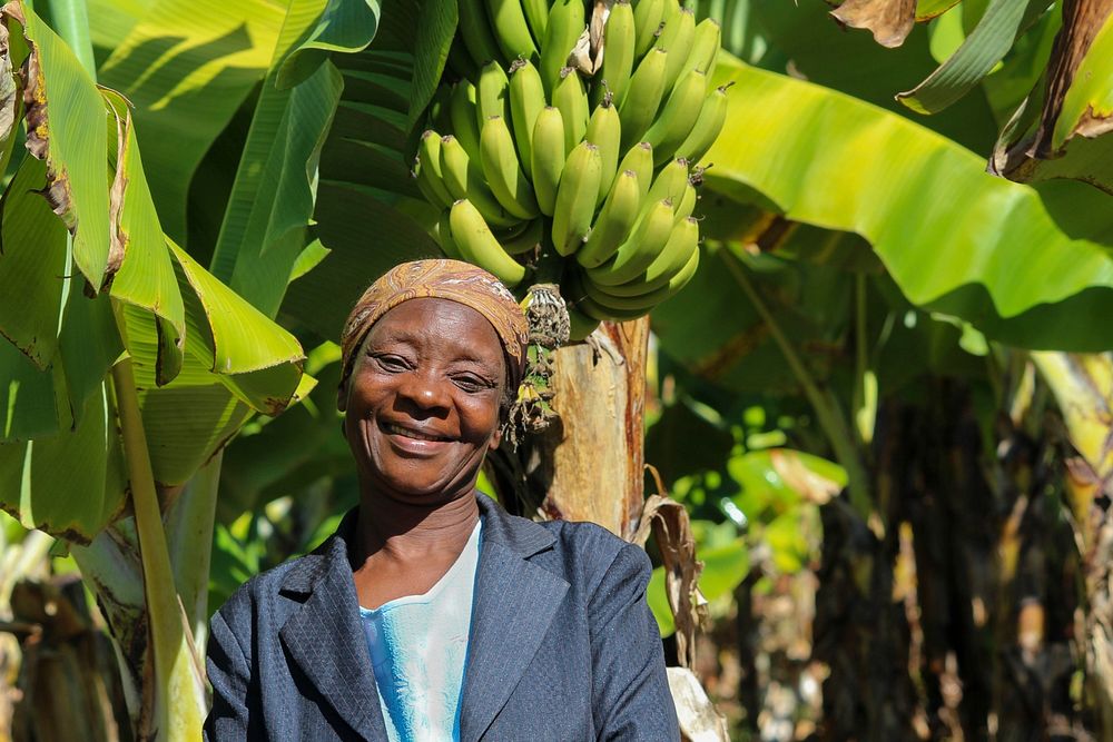 Banana farmer in Honde Valley, Zimbabwe Credit: USAID Zimbabwe June 2017 Doreen Hove. Original public domain image from…