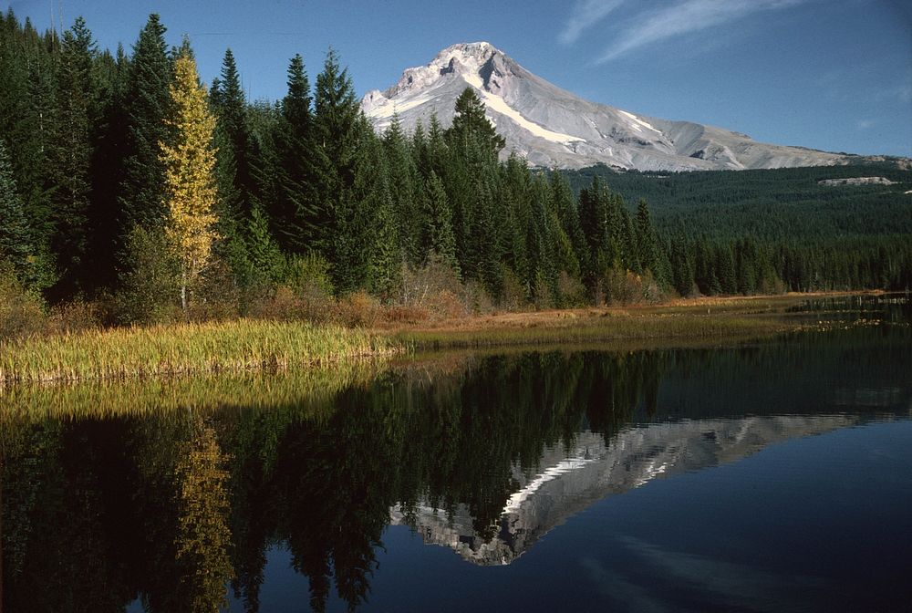 Mt Hood National Forest,Trillium Lake. Original public domain image from Flickr