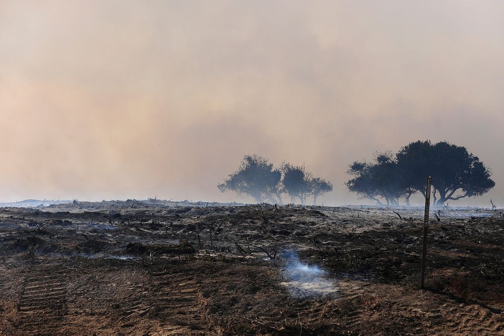 Army Prescribed Burn on Fort Ord.