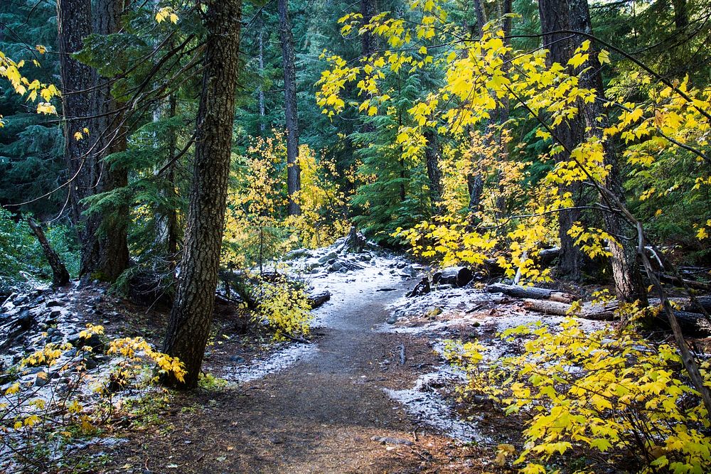 Tamanawas Trail, Oregon