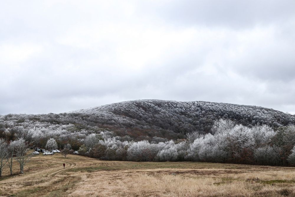 Frost over Whigg Meadow. Original public domain image from Flickr