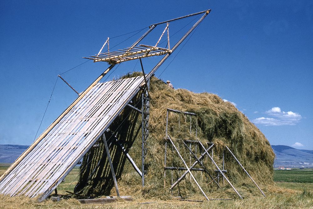 Stacking hay using a beaverslide. Original public domain image from Flickr