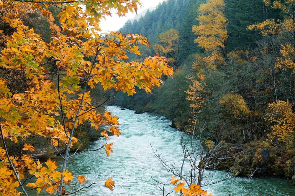 North Santiam River, Oregon
