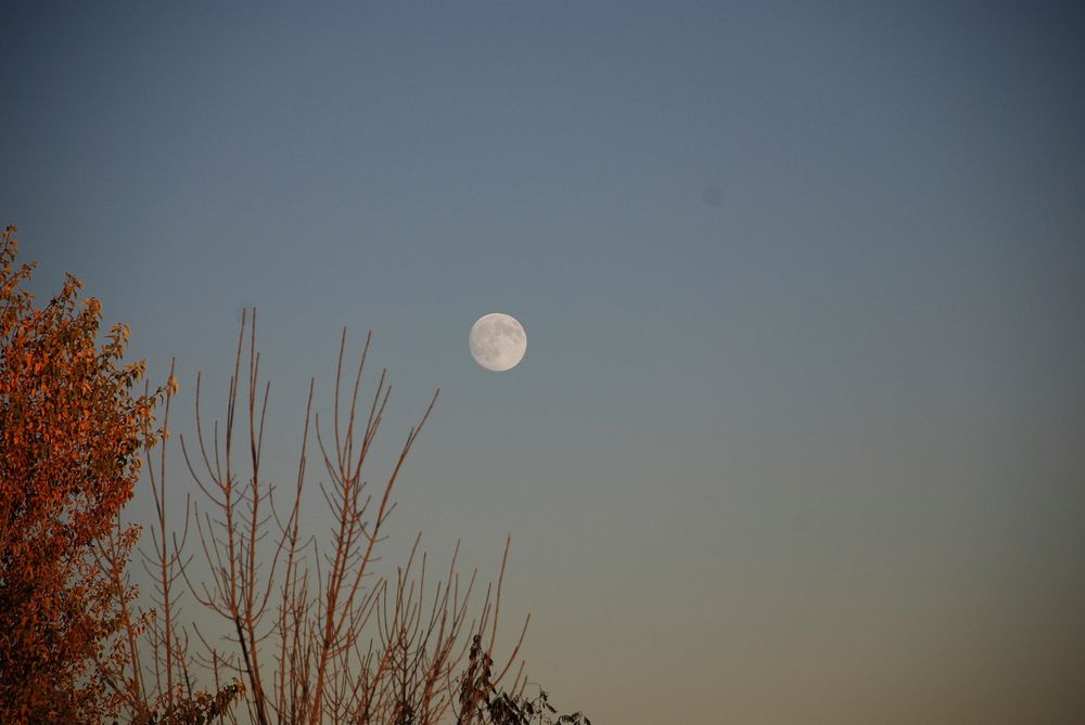 Daytime full moon in Bozeman, Montana. October 2007. Original public domain image from Flickr