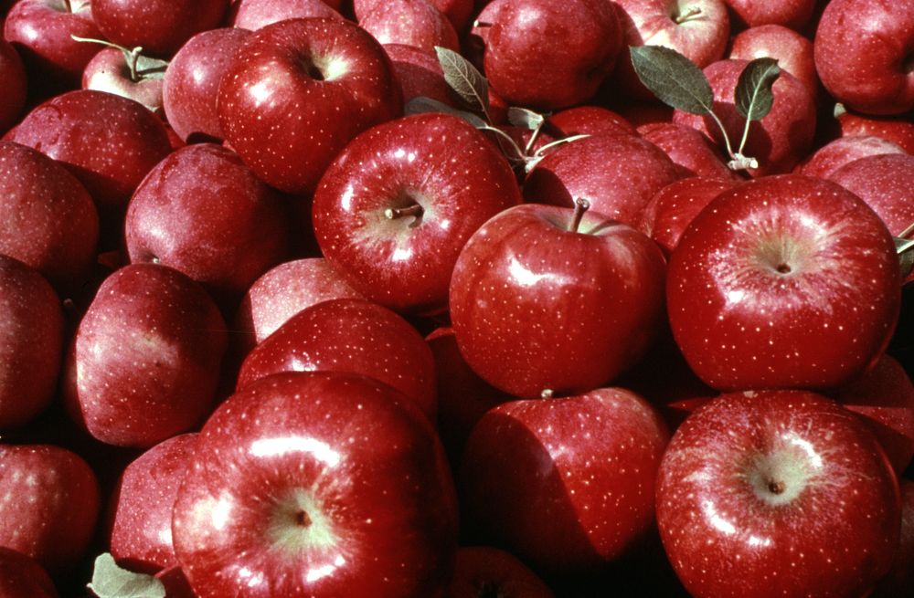 Red apples. Original public domain image from Flickr