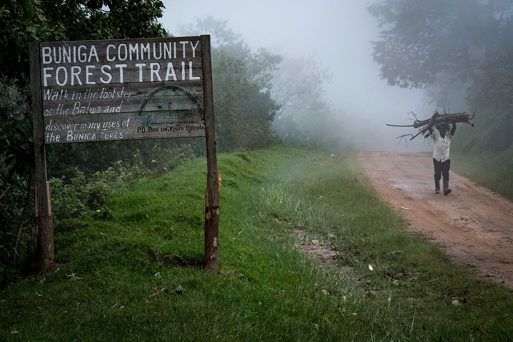 Buniga community forest trial wood sign, Nkuringo, Uganda, September 2017.