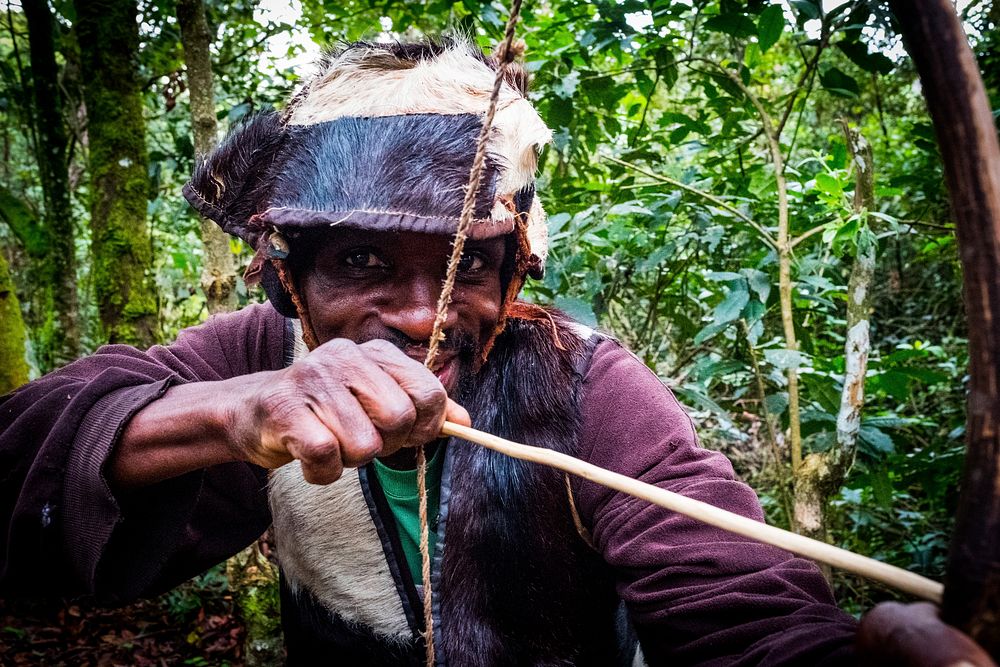 African man using arrow, Batwa Pygmies, Nkuringo, Uganda, September 2017.
