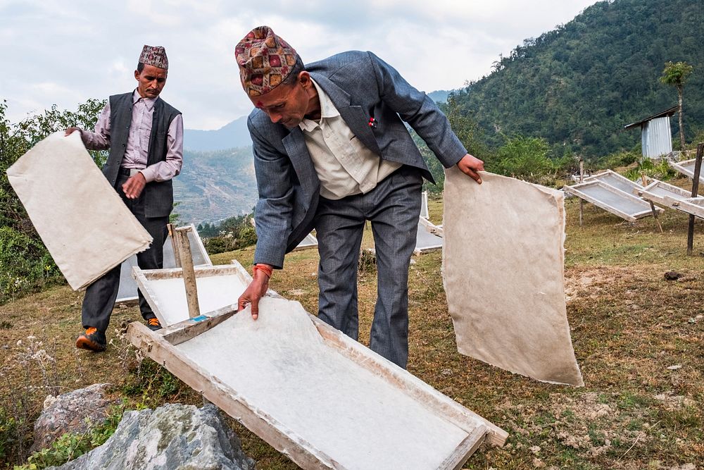 Producing Lokta bark paper, Kailash, Bajhang District, Nepal, October 2017.