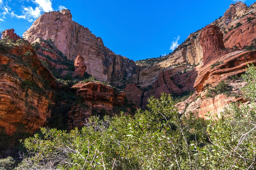 Fay Canyon is a favorite hike into Red Rock-Secret Mountain Wilderness for many who prefer a shorter hike with minimal…