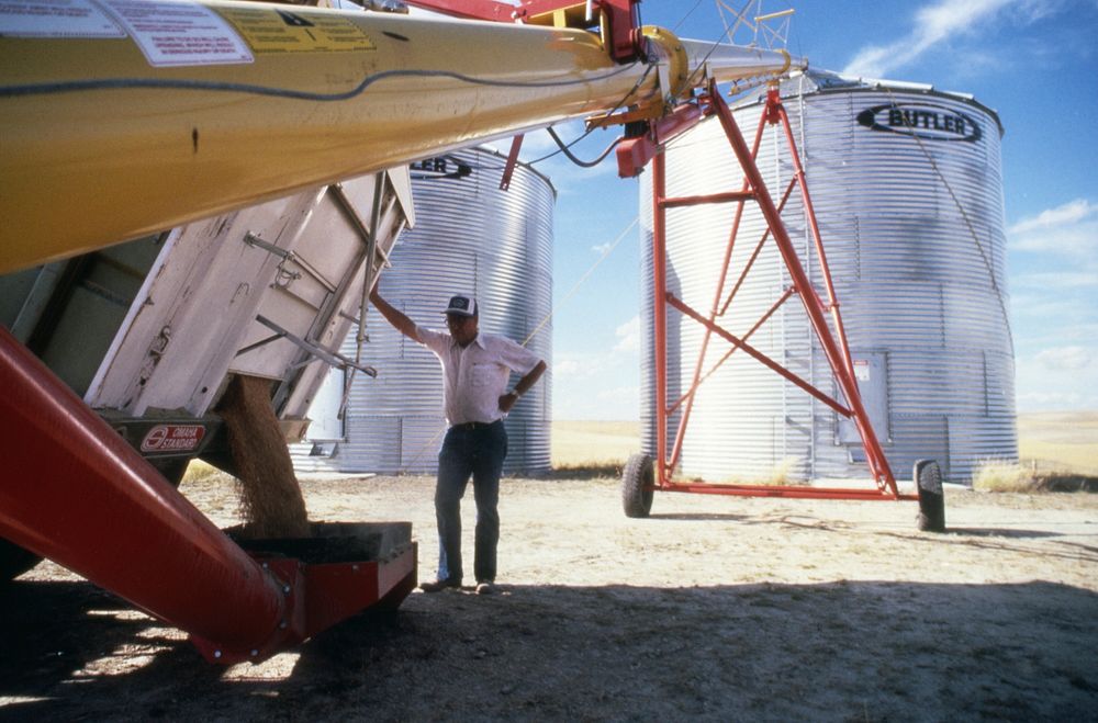 Loading seed into silo, September 1987. Original public domain image from Flickr