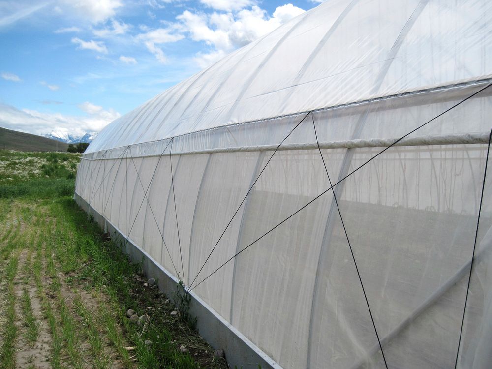 Roll-up sides of a seasonal high tunnel installed under the Environmental Quality Improvement Program (EQIP) Organic…