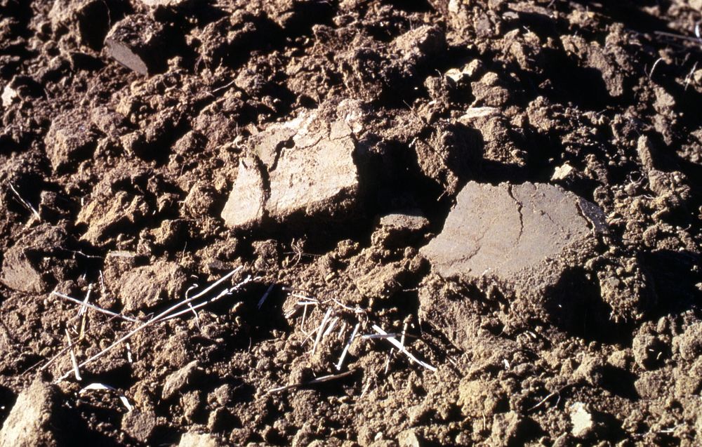 Soil turned by mold board plow, November 1977. Original public domain image from Flickr