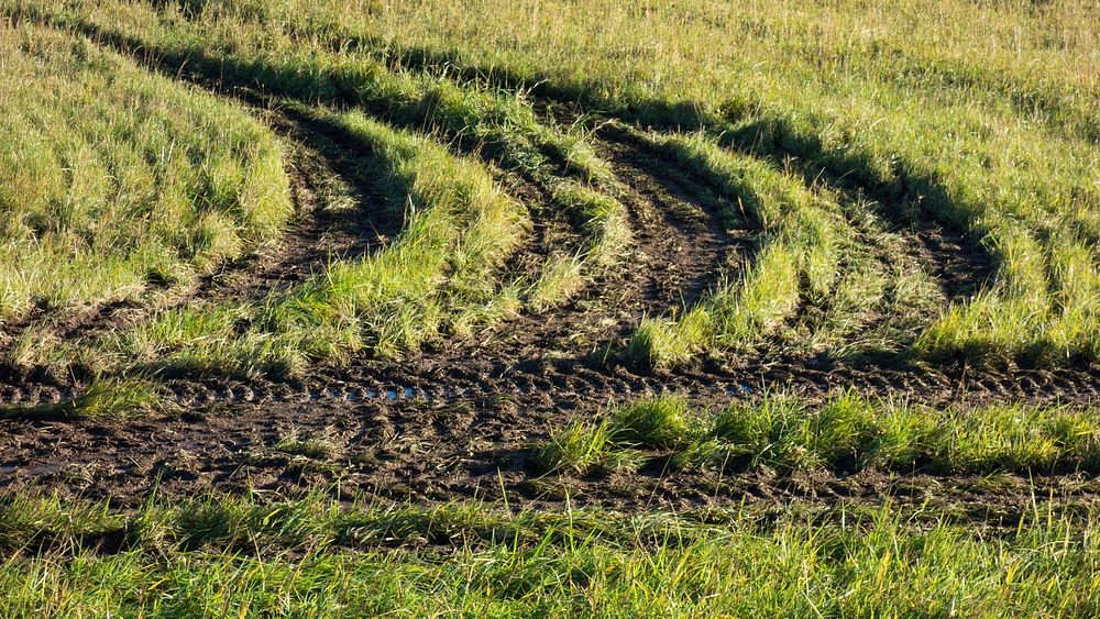 Curved tractor tracks in a field