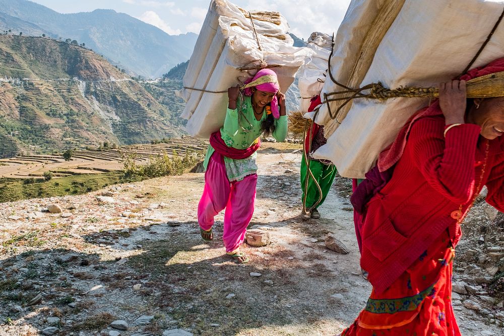 Carrying Lokta bark paper, Kailash, Bajhang District, Nepal, October 2017.