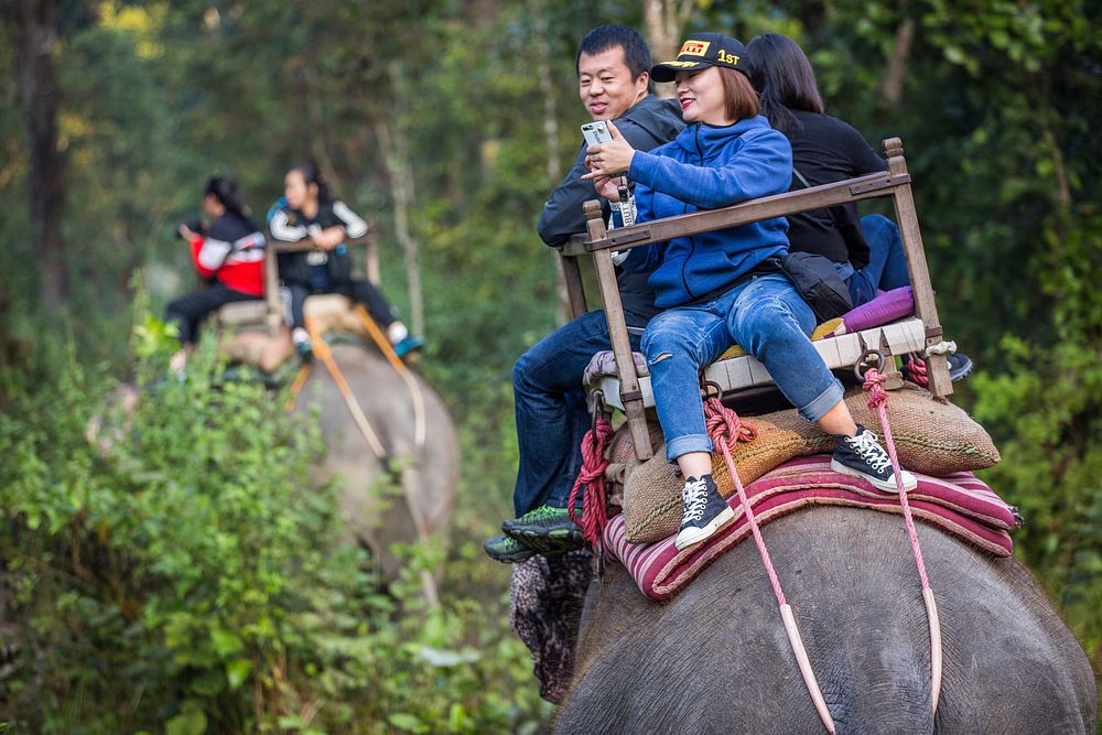 Tourists riding on elephants, Sauraha, Chitwan District, Nepal, November 2017.